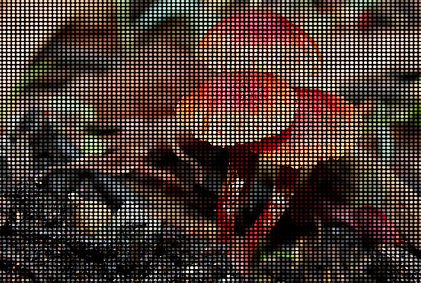 P10 10mm pixel pitch