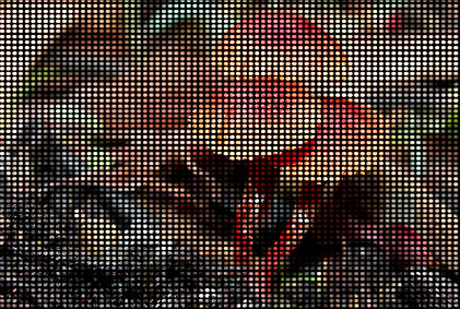 P16 16mm pixel pitch