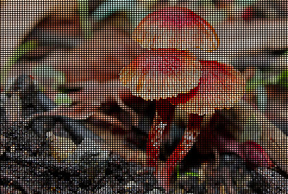 P8 8mm pixel pitch